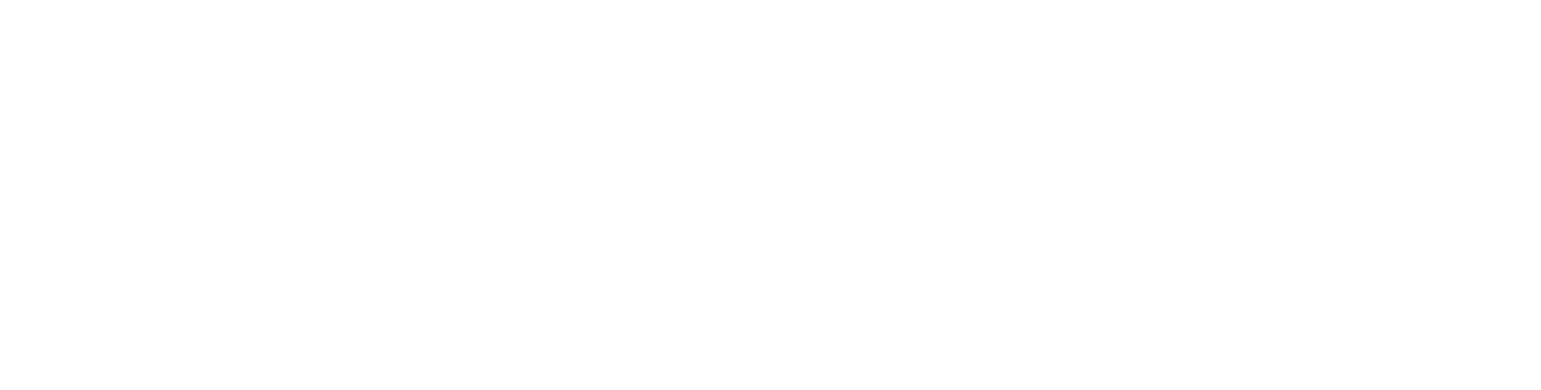 theviccigroup